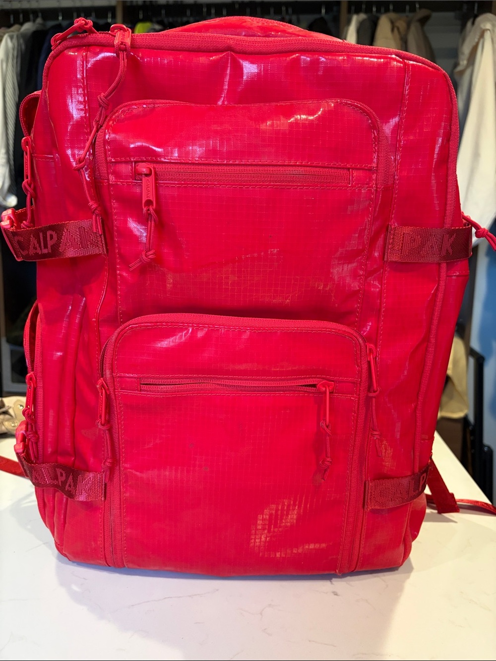 Calpak Terra backpack